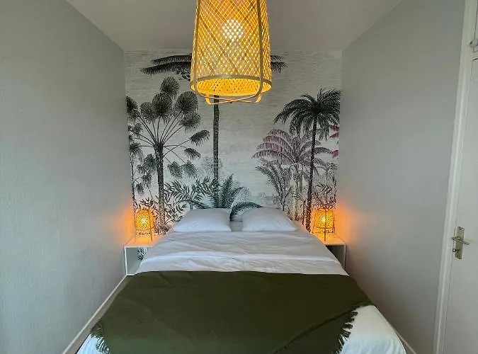 Appartement Hyper Centre : Ancien Renove / Confort